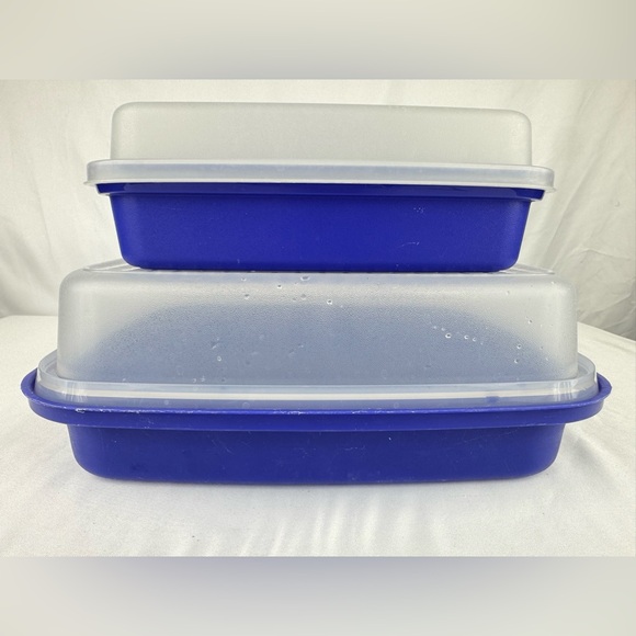 Tupperware Other - Tupperware Season-Serve Marinating Container